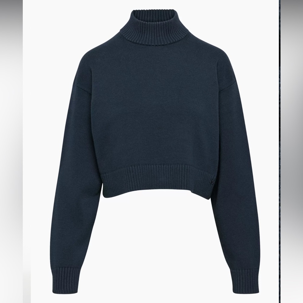 Aritizia Scottie (?) Turtleneck